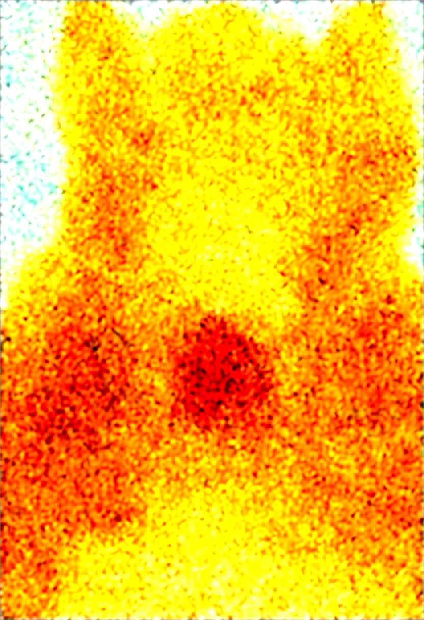 masterpiece-best-quality-sharp-focus-highly-f5ede1 on WAI-SHUFFLE-NOOB