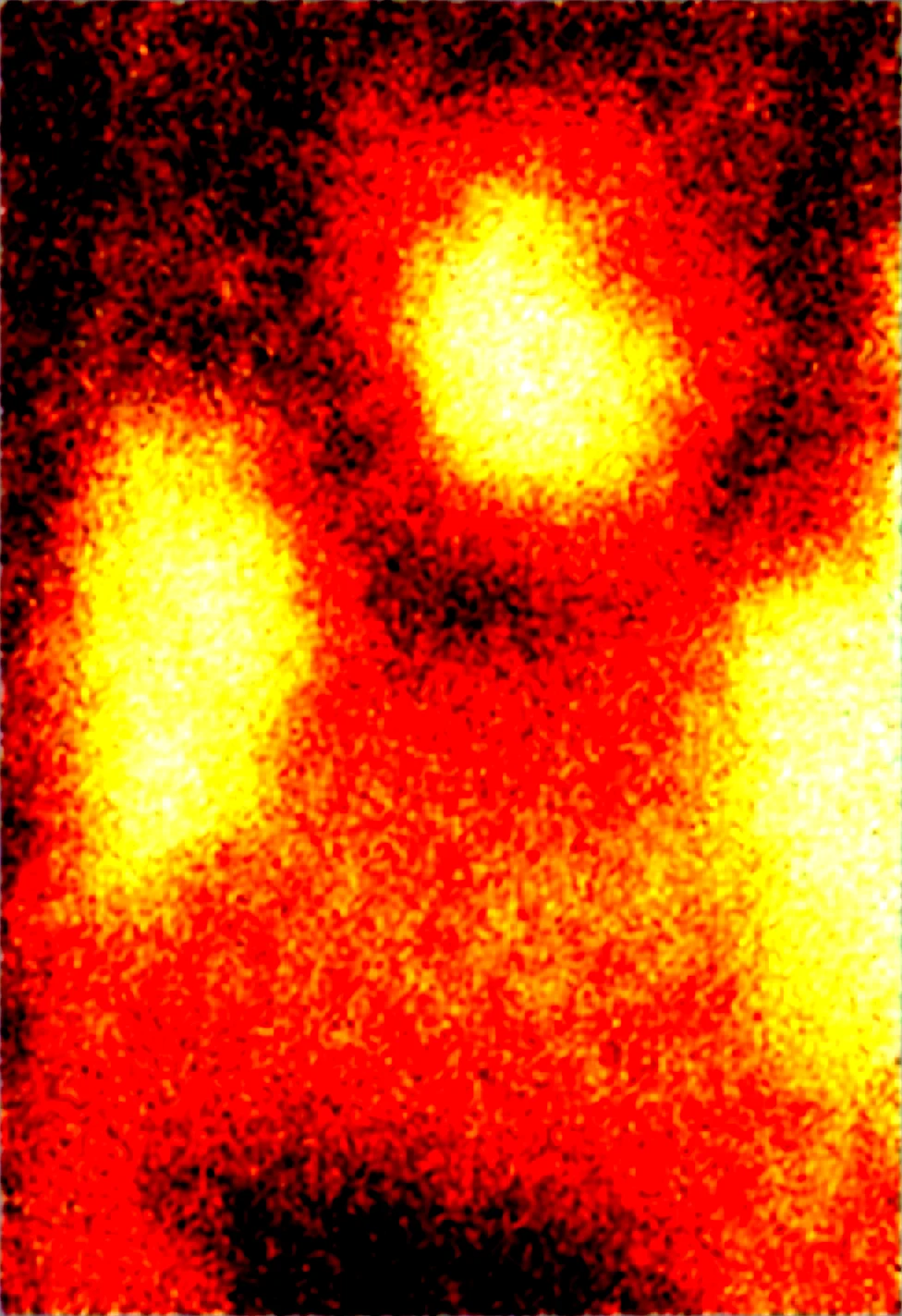 masterpiece-best-quality-ultra-detailed-the-97b747 on Obsession (Illustrious-XL)