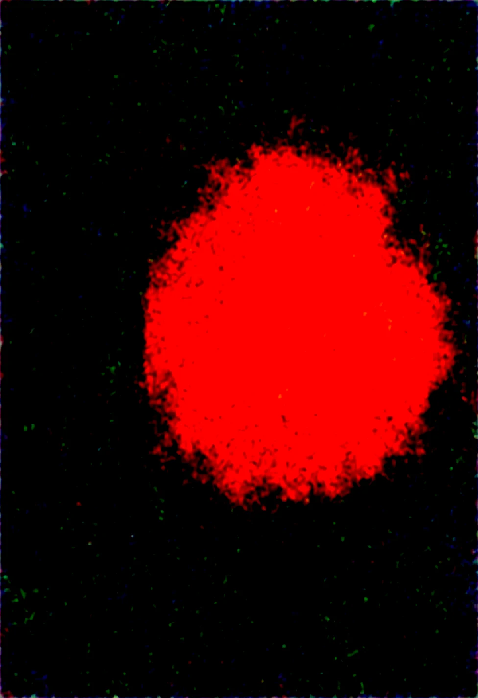 masterpiece-best-quality-ultra-detailed-very-874a28 on Obsession (Illustrious-XL)