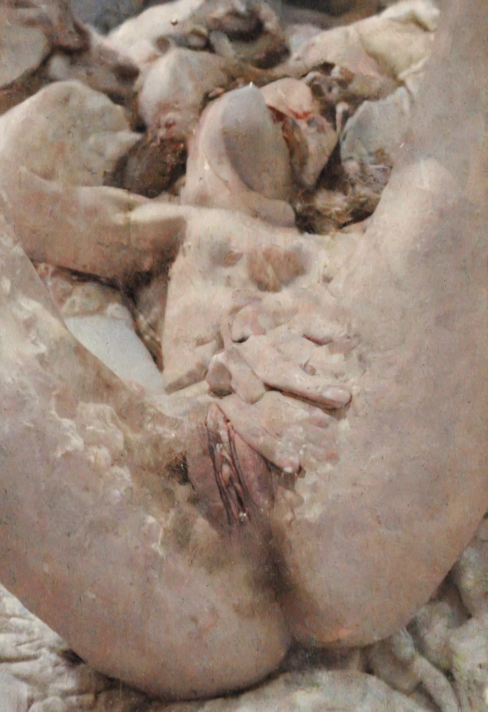 masterpiece-ultra-cinematic-lighting-photorealistic-impressionism-e99625 on The Araminta Experiment (SDXL+Flux)