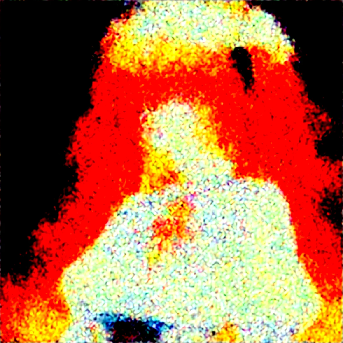 newest-year2024-masterpiece-best-quality-score_7-af9379 on WAI-SHUFFLE-NOOB