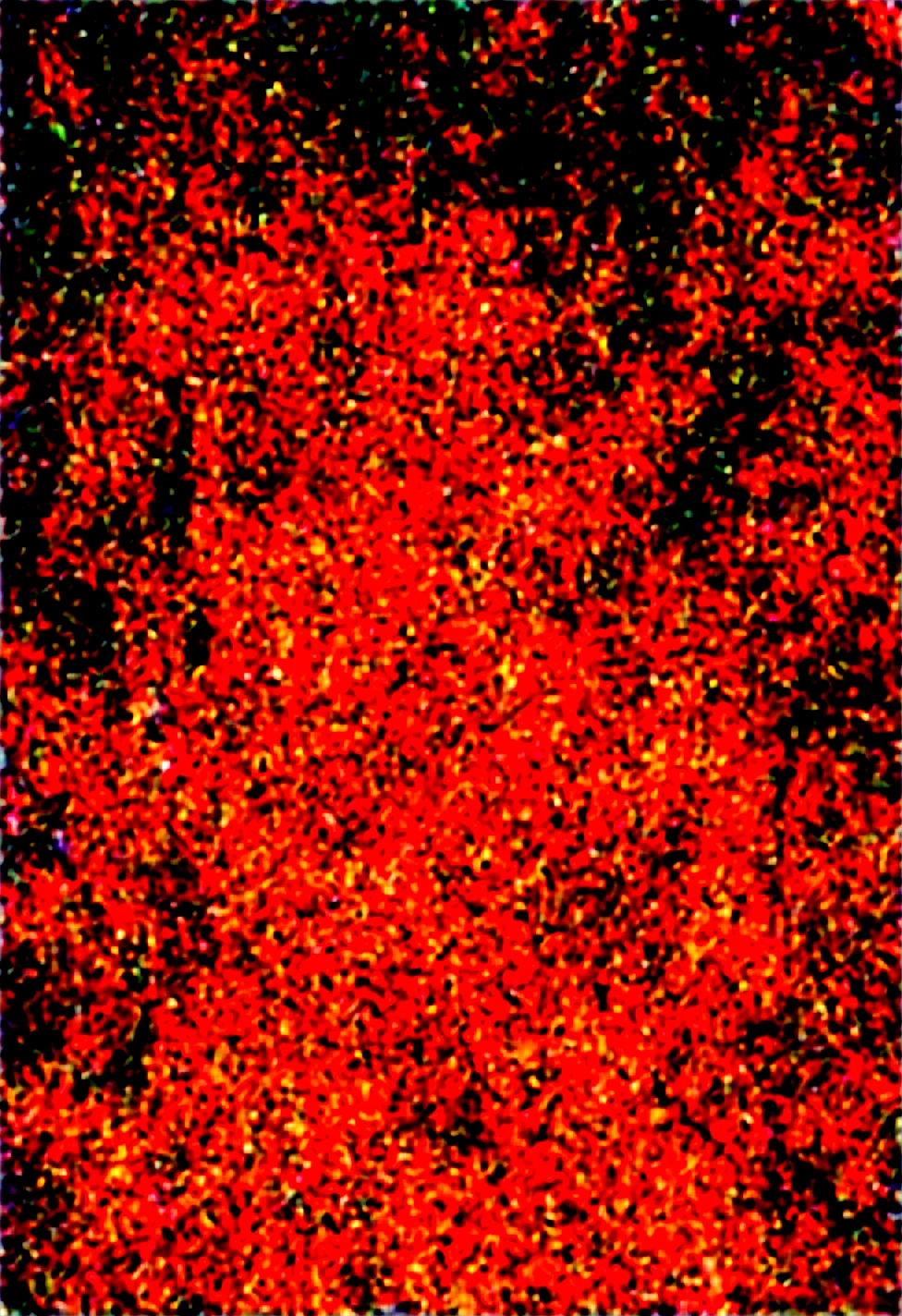 photo-depth-field-vibrant-colors-realistic-a6c18c on Obsession (Illustrious-XL)