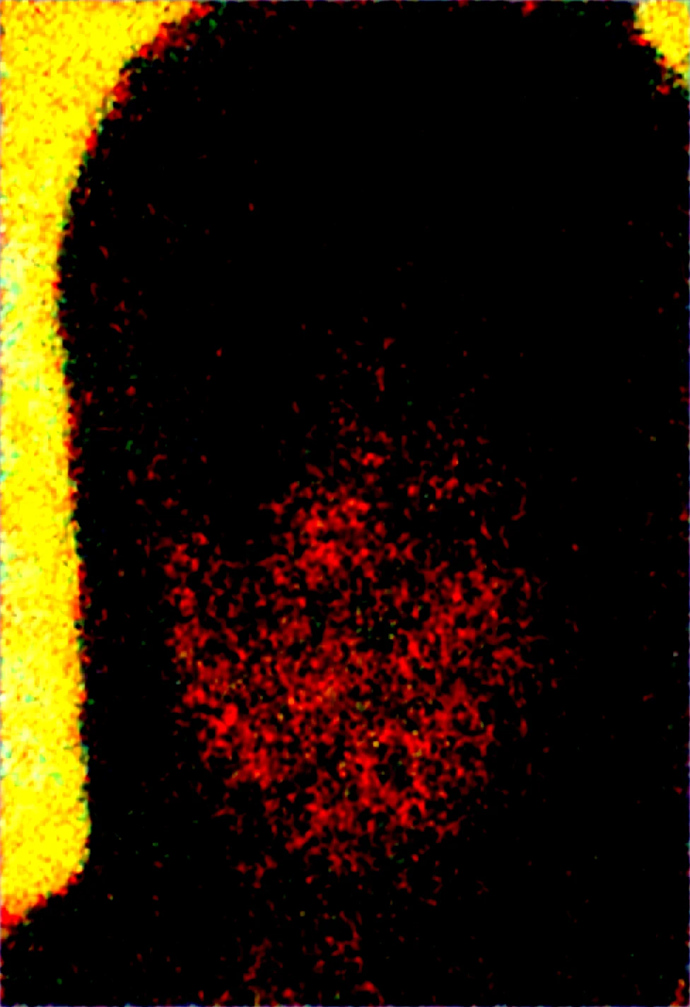 photorealistic-ultra-realistic-detailed-eyes-perfect-f76a94 on WAI-SHUFFLE-NOOB