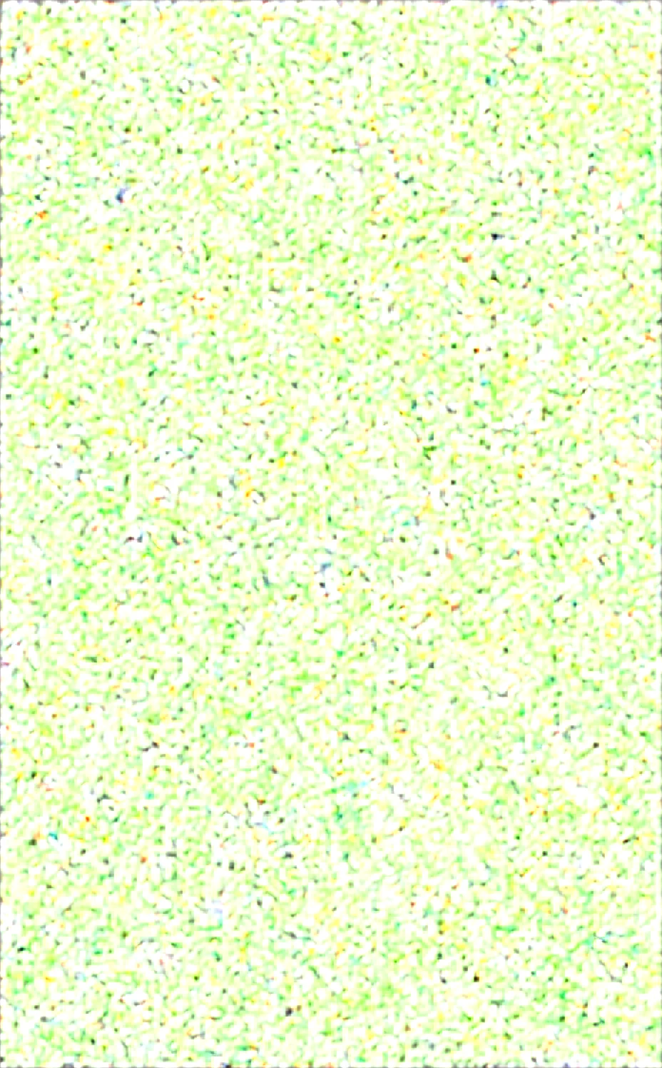 r17329_illu-_04-69yotte4_illu-flatpop-sketch-flat-019f83 on Obsession (Illustrious-XL)