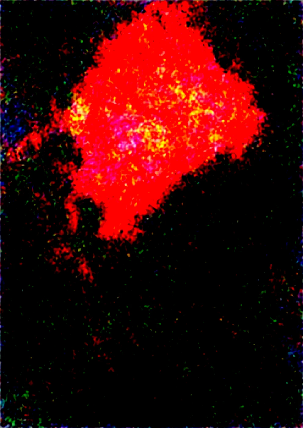 realism-masterpiece-best-quality-perfect-quality-226101 on Obsession (Illustrious-XL)