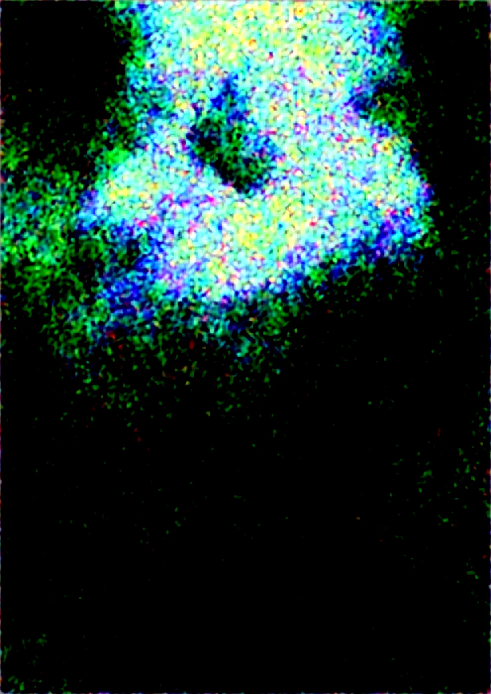 realism-masterpiece-best-quality-perfect-quality-226101 on WAI-SHUFFLE-NOOB