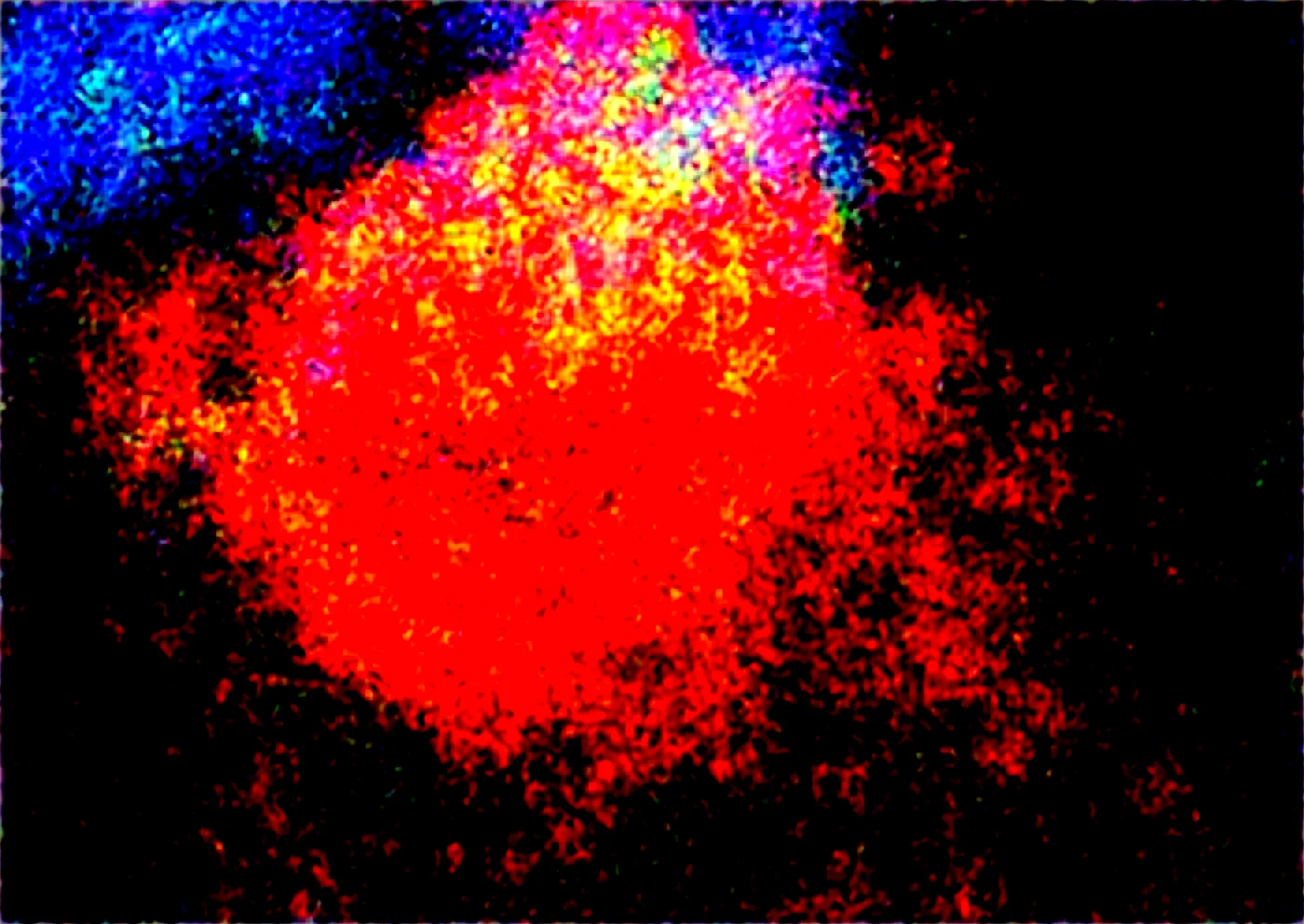 realism-masterpiece-best-quality-perfect-quality-bdc136 on Obsession (Illustrious-XL)