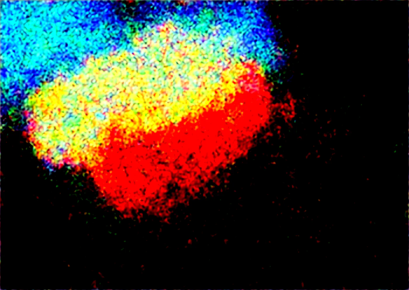 realism-masterpiece-best-quality-perfect-quality-bdc136 on WAI-SHUFFLE-NOOB