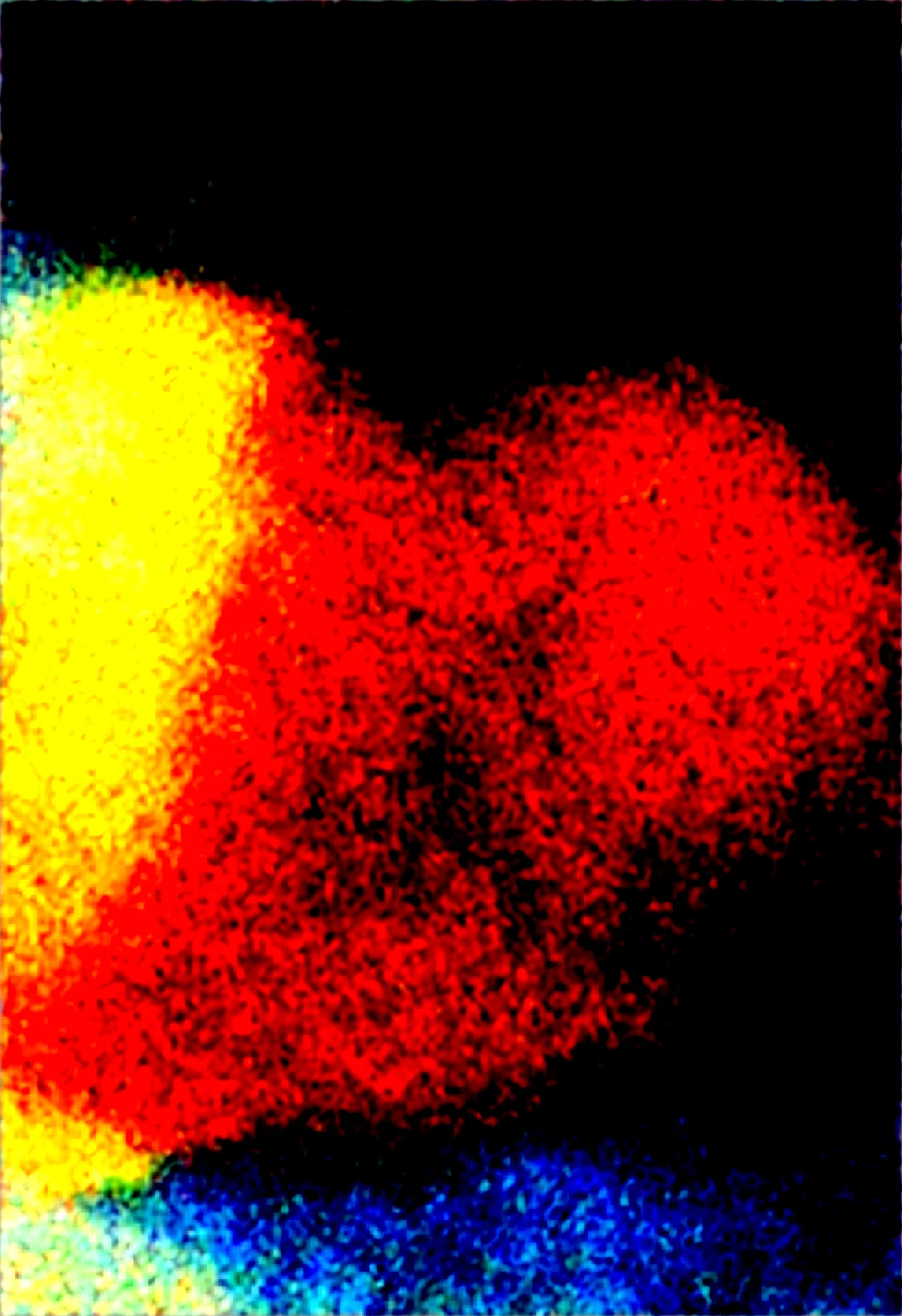 realistic-impressionism-vivid-colors-masterpiece-ultra-0dfb08 on WAI-SHUFFLE-NOOB