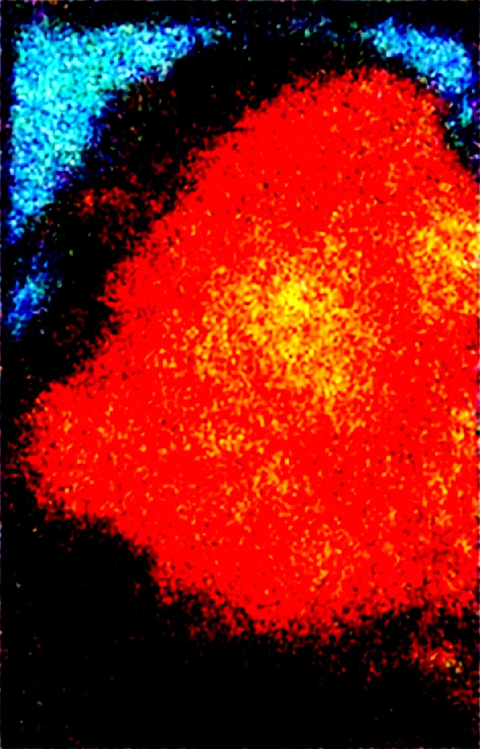 realistic-masterpiece-best-quality-perfect-quality-caa355 on Obsession (Illustrious-XL)