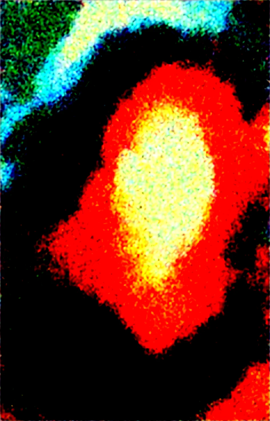 realistic-masterpiece-best-quality-perfect-quality-caa355 on WAI-SHUFFLE-NOOB