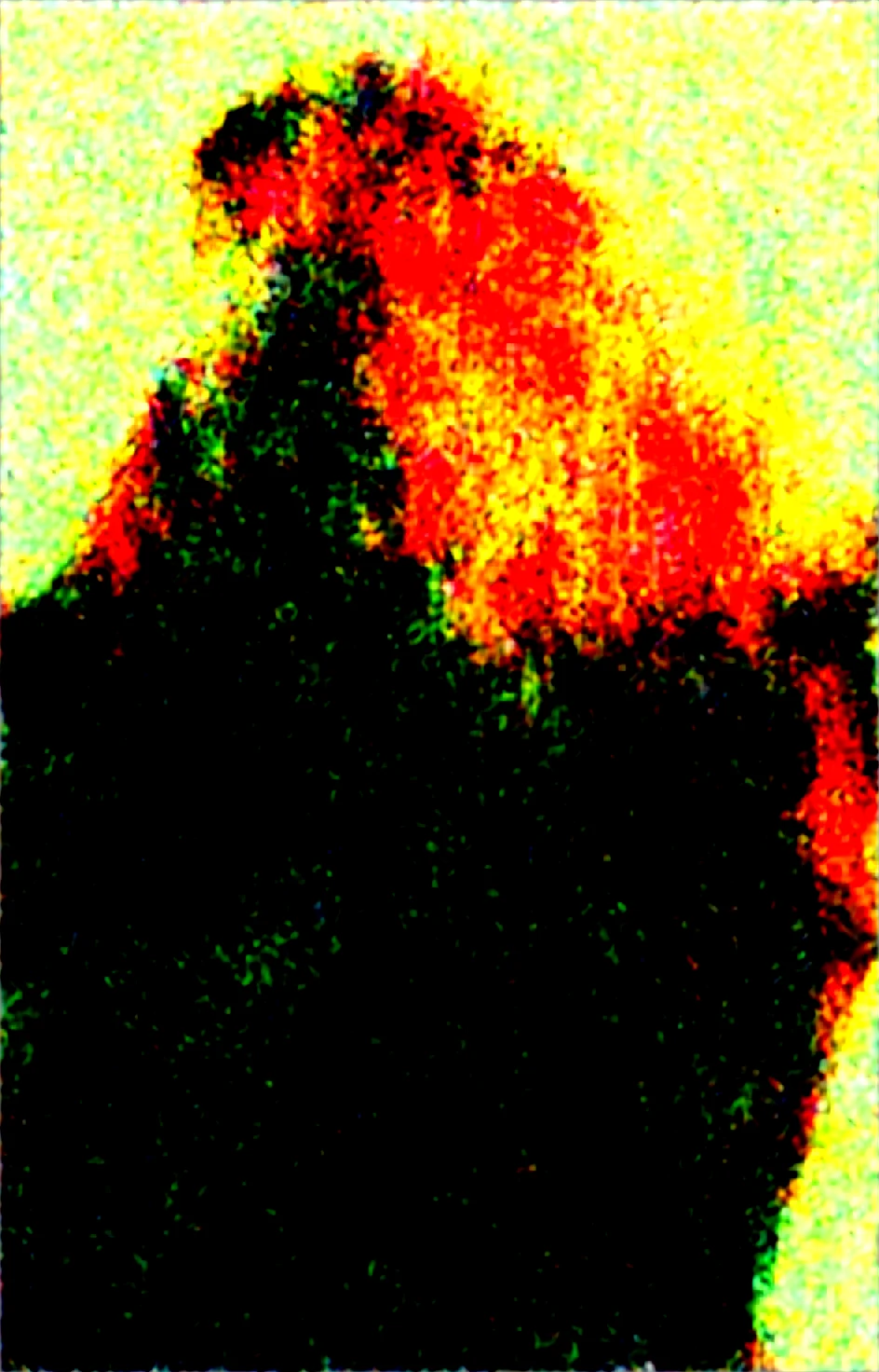 realistic-masterpiece-best-quality-perfect-quality-ea9f9f on Obsession (Illustrious-XL)