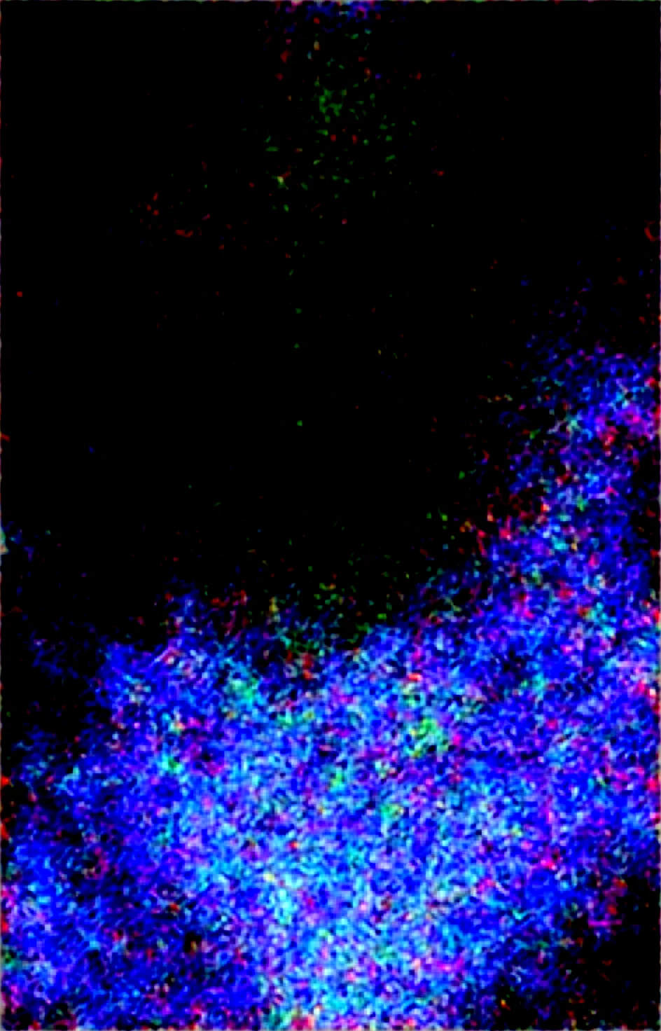 score_9-score_8_up-large-eyes-expressive-eyes-1c355f on Obsession (Illustrious-XL)