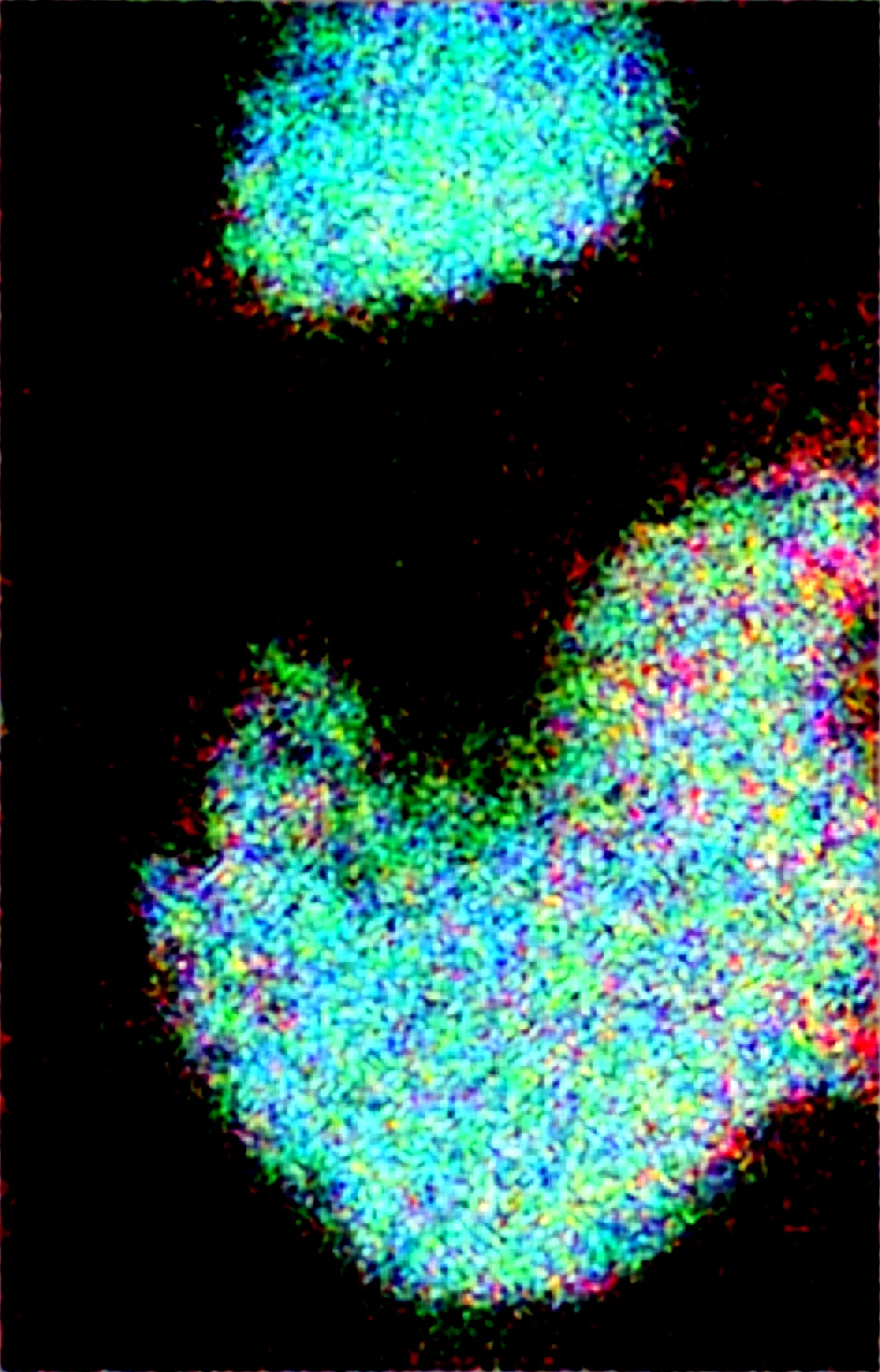 score_9-score_8_up-large-eyes-expressive-eyes-1c355f on WAI-SHUFFLE-NOOB