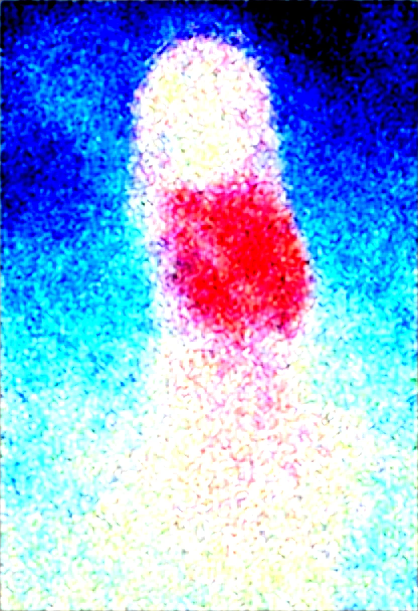 score_9-score_8_up-score_7_up-best-background-anime_source-98fe70 on WAI-SHUFFLE-NOOB