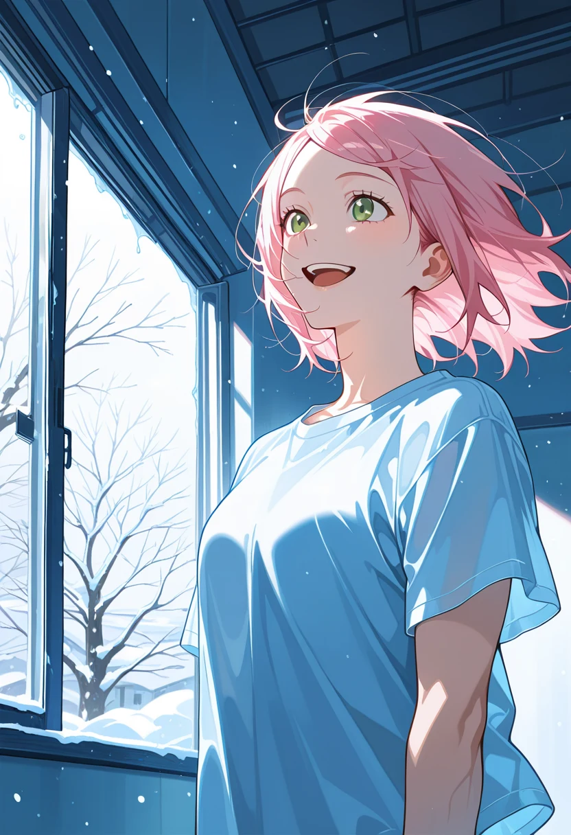 score_9-score_8_up-score_7_up-best-background-anime_source-d4c9ae on One obsession