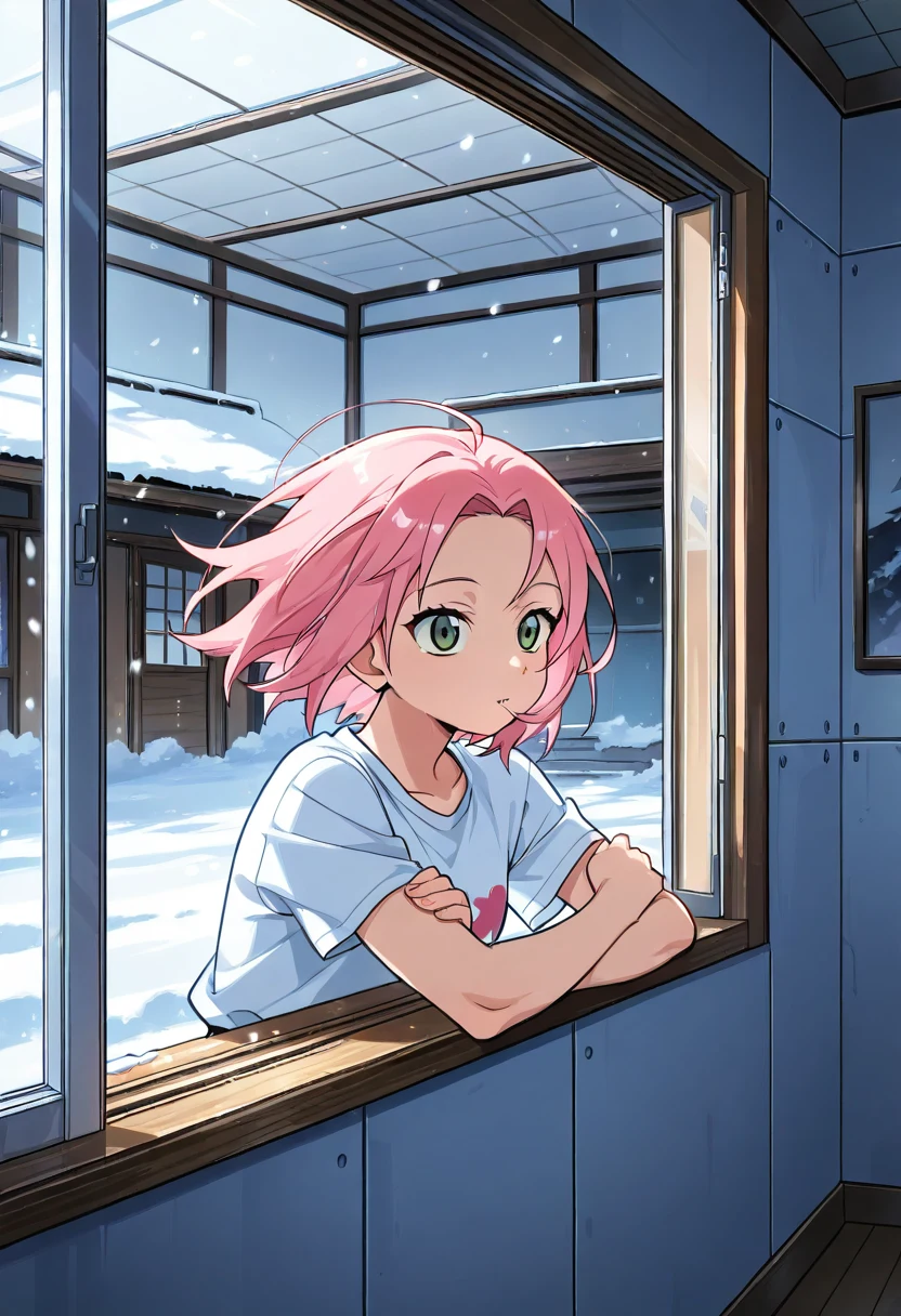 score_9-score_8_up-score_7_up-best-background-anime_source-f29b1d on Cat Tower (NoobAI XL checkpoint)