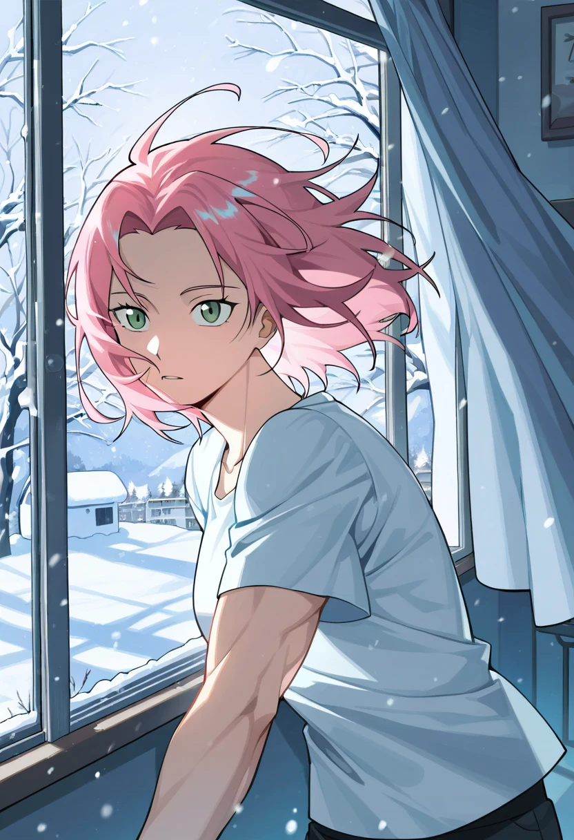 score_9-score_8_up-score_7_up-best-background-anime_source-f29b1d on Indigo Furry Mix XL