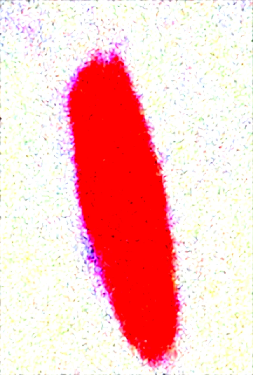 score_9-score_8_up-score_7_up-high-res-image-9304e5 on Obsession (Illustrious-XL)