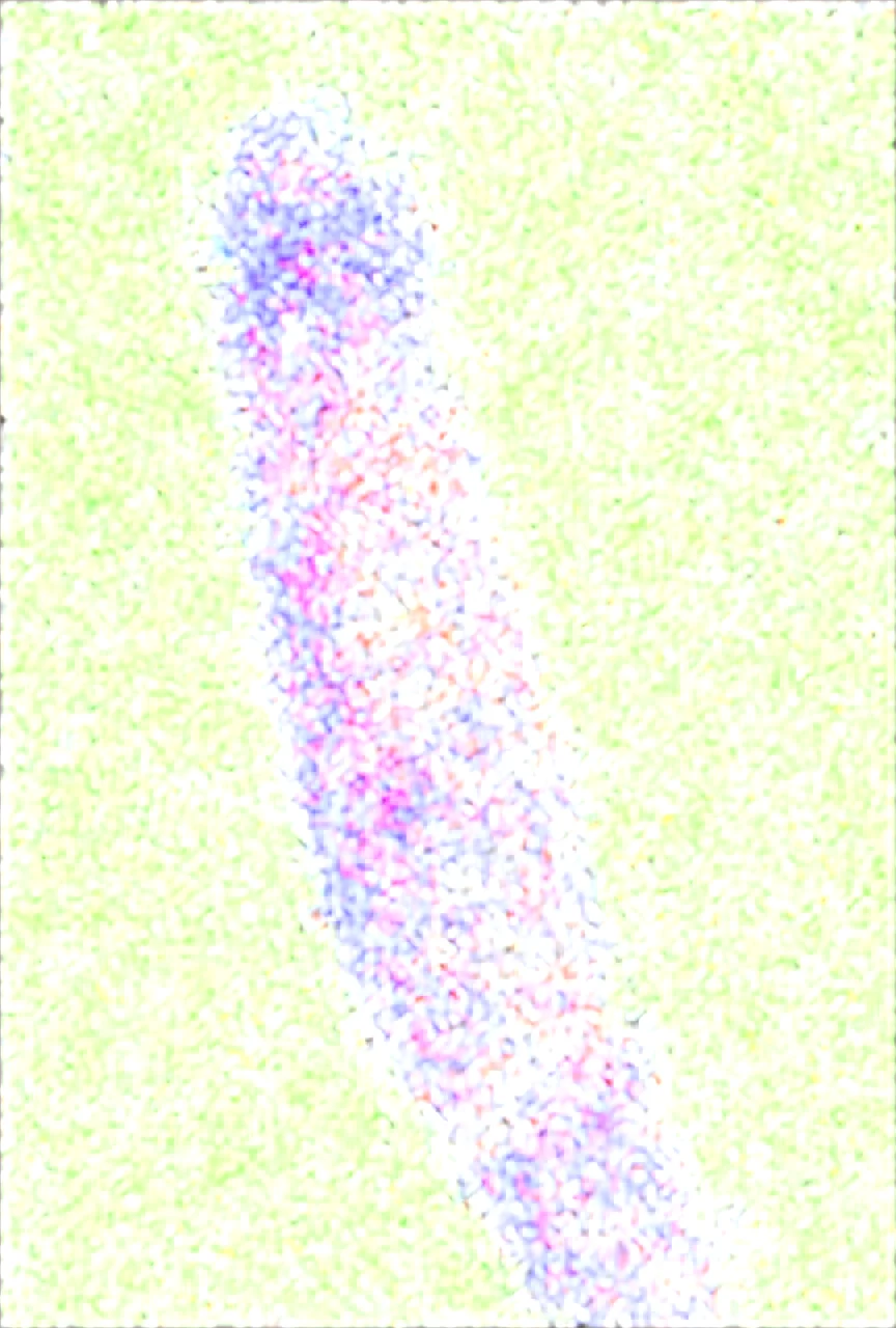 score_9-score_8_up-score_7_up-high-res-image-9304e5 on WAI-SHUFFLE-NOOB