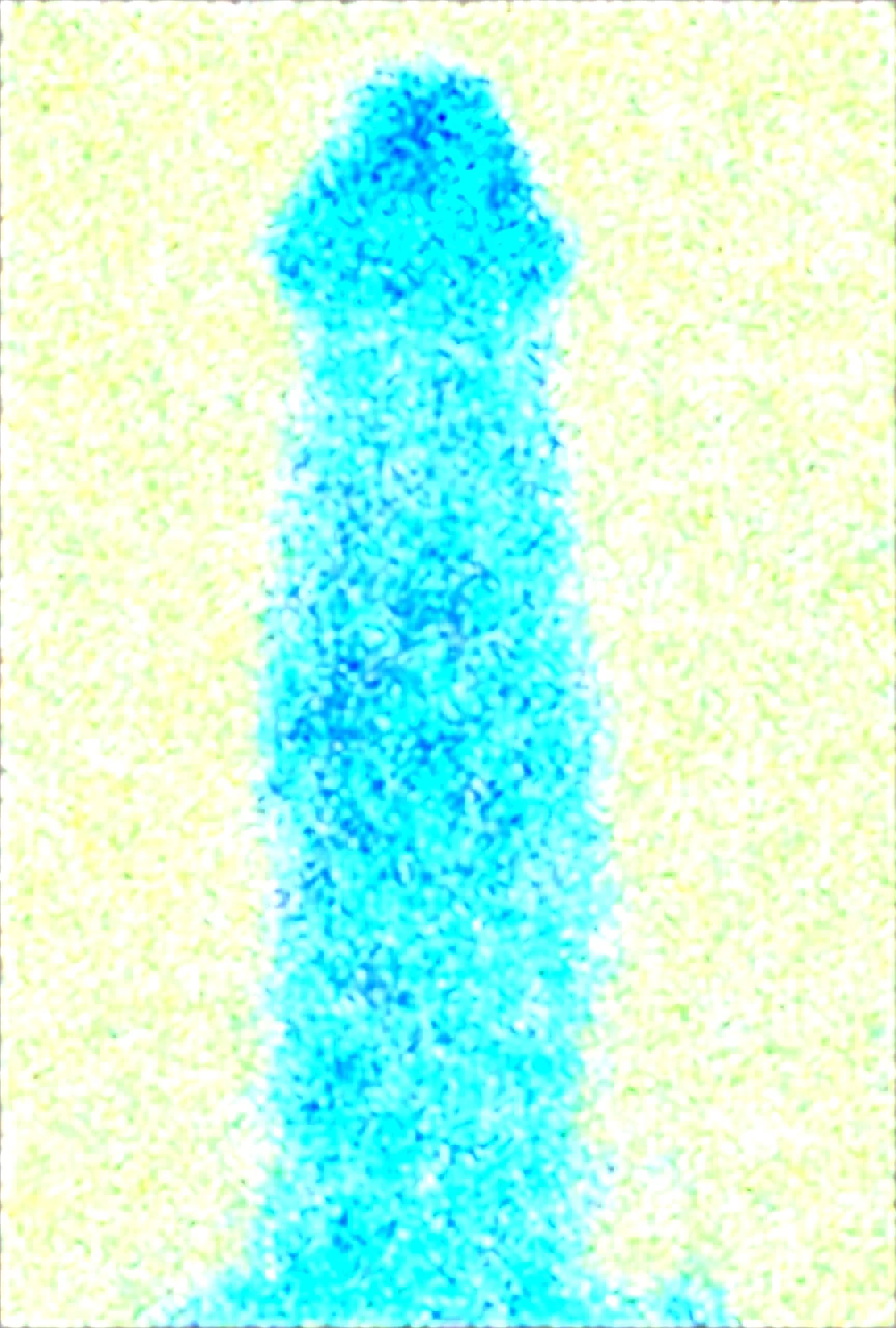 score_9-score_8_up-score_7_up-high-res-image-fdc4c3 on WAI-SHUFFLE-NOOB