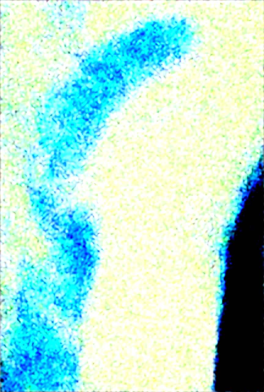 score_9-score_8_up-score_7_up-source_anime-high-res-1fb47a on WAI-SHUFFLE-NOOB