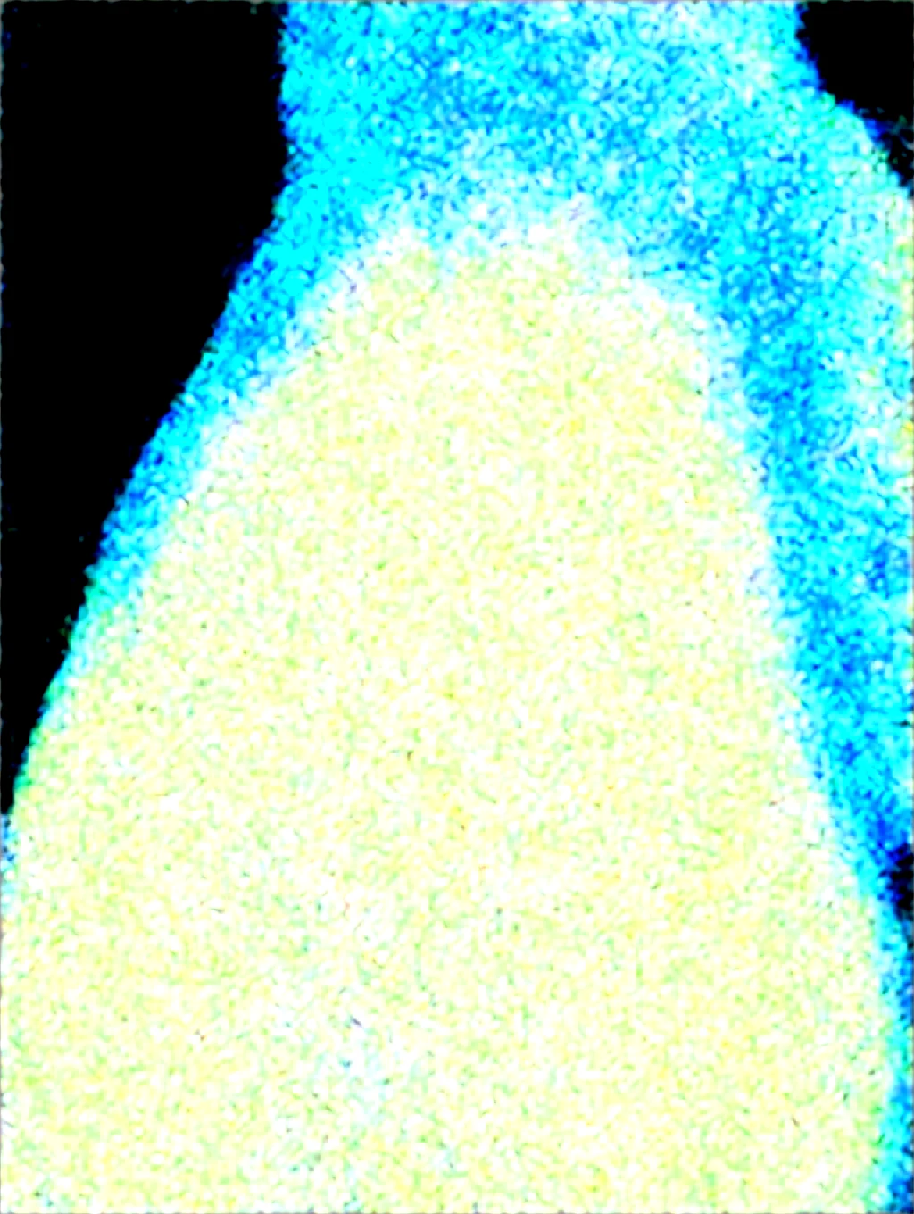 score_9-score_8_up-score_7_up-source_anime-high-res-cafe65 on WAI-SHUFFLE-NOOB