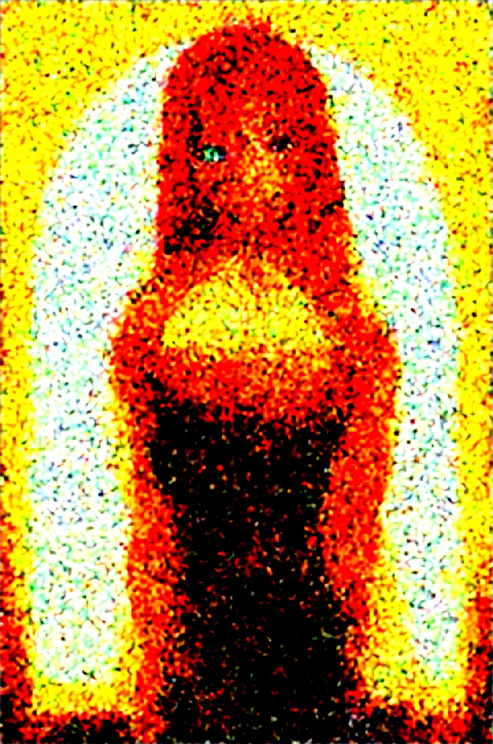 selfie-long-auburn-hair-years-old-4695f7 on WAI-SHUFFLE-NOOB