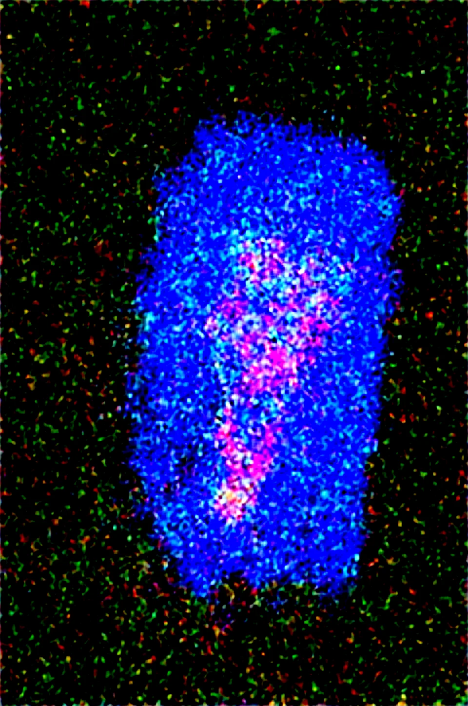 selfie-short-black-pixie-cut-years-9e95f8 on Obsession (Illustrious-XL)