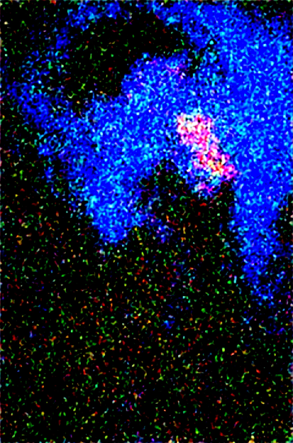 selfie-short-black-pixie-cut-years-9e95f8 on WAI-SHUFFLE-NOOB