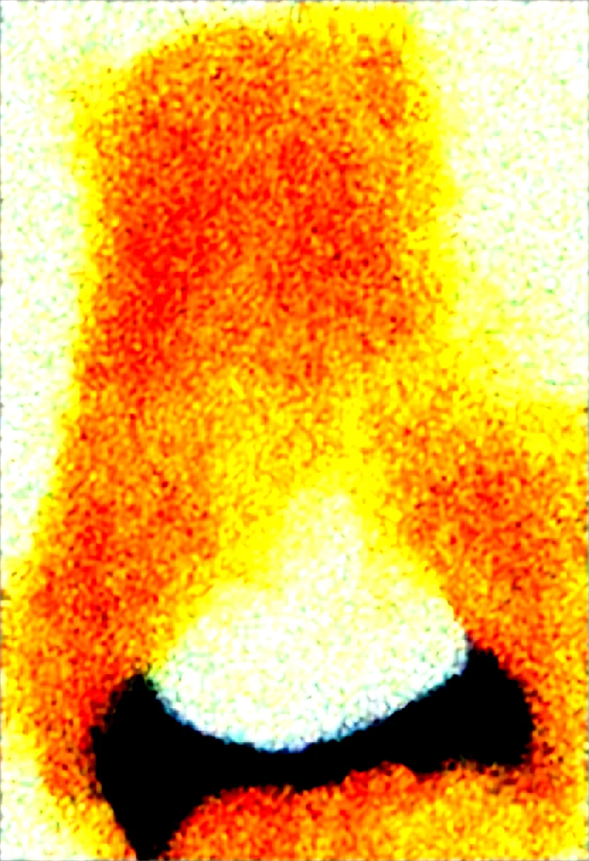 sexy-year-old-woman-raccoon-girl-26f84c on WAI-SHUFFLE-NOOB