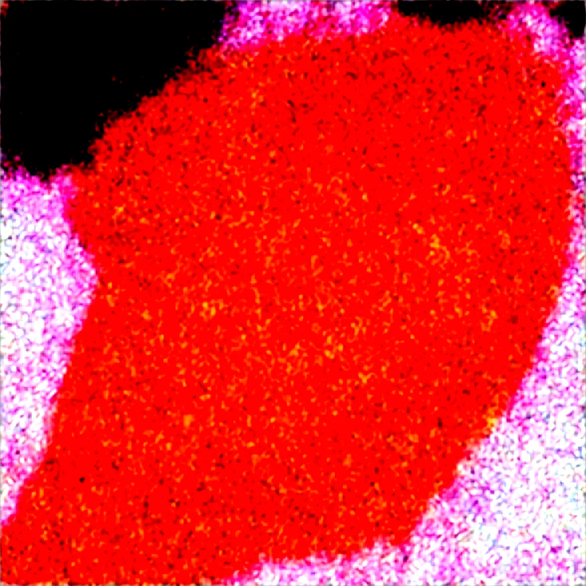 shot-from-above-thin-woman-with-d83e3c on Obsession (Illustrious-XL)