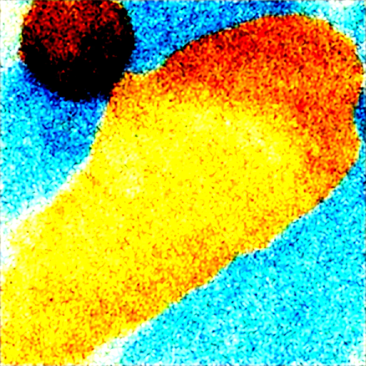 shot-from-above-thin-woman-with-d83e3c on WAI-SHUFFLE-NOOB