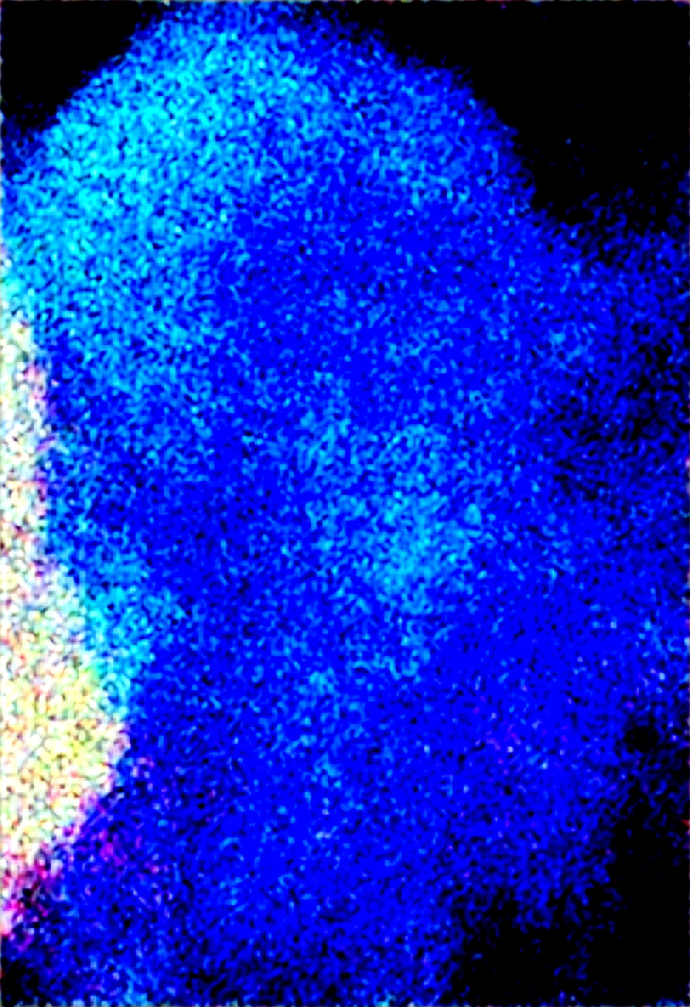 solo-mature_female-dark-elf-pink-purple-84871f on WAI-SHUFFLE-NOOB