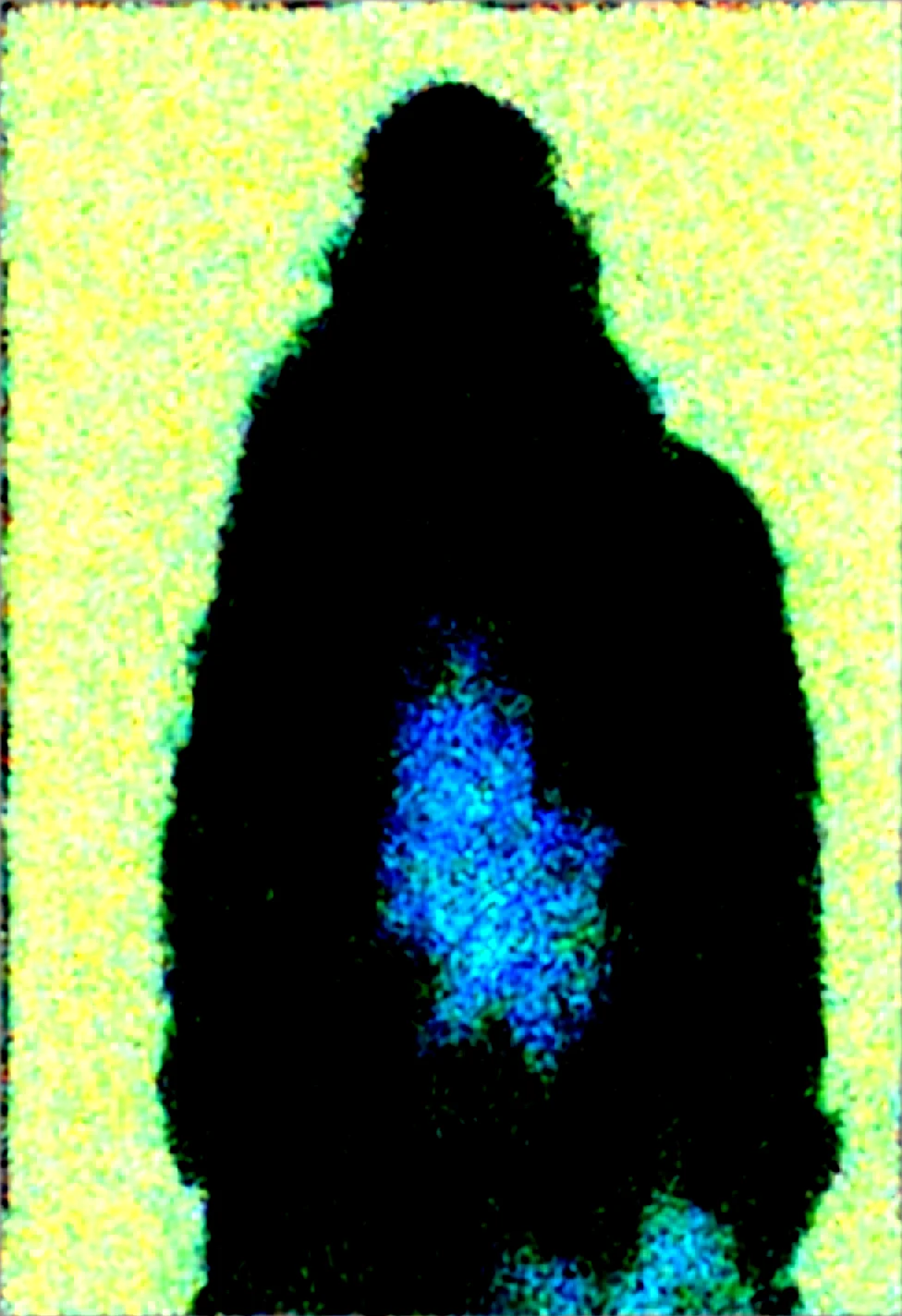 solo-mature_female-elf-dark-skin-slender-e4877c on Obsession (Illustrious-XL)