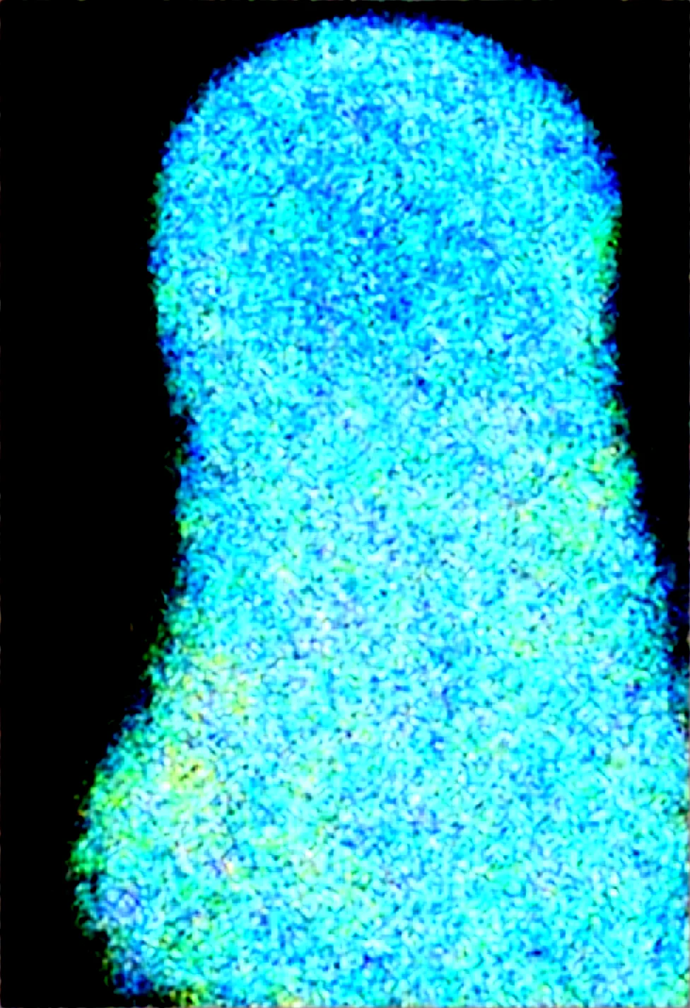 solo-mature_female-glitching-holographic-hologram-fully-260fe2 on Obsession (Illustrious-XL)