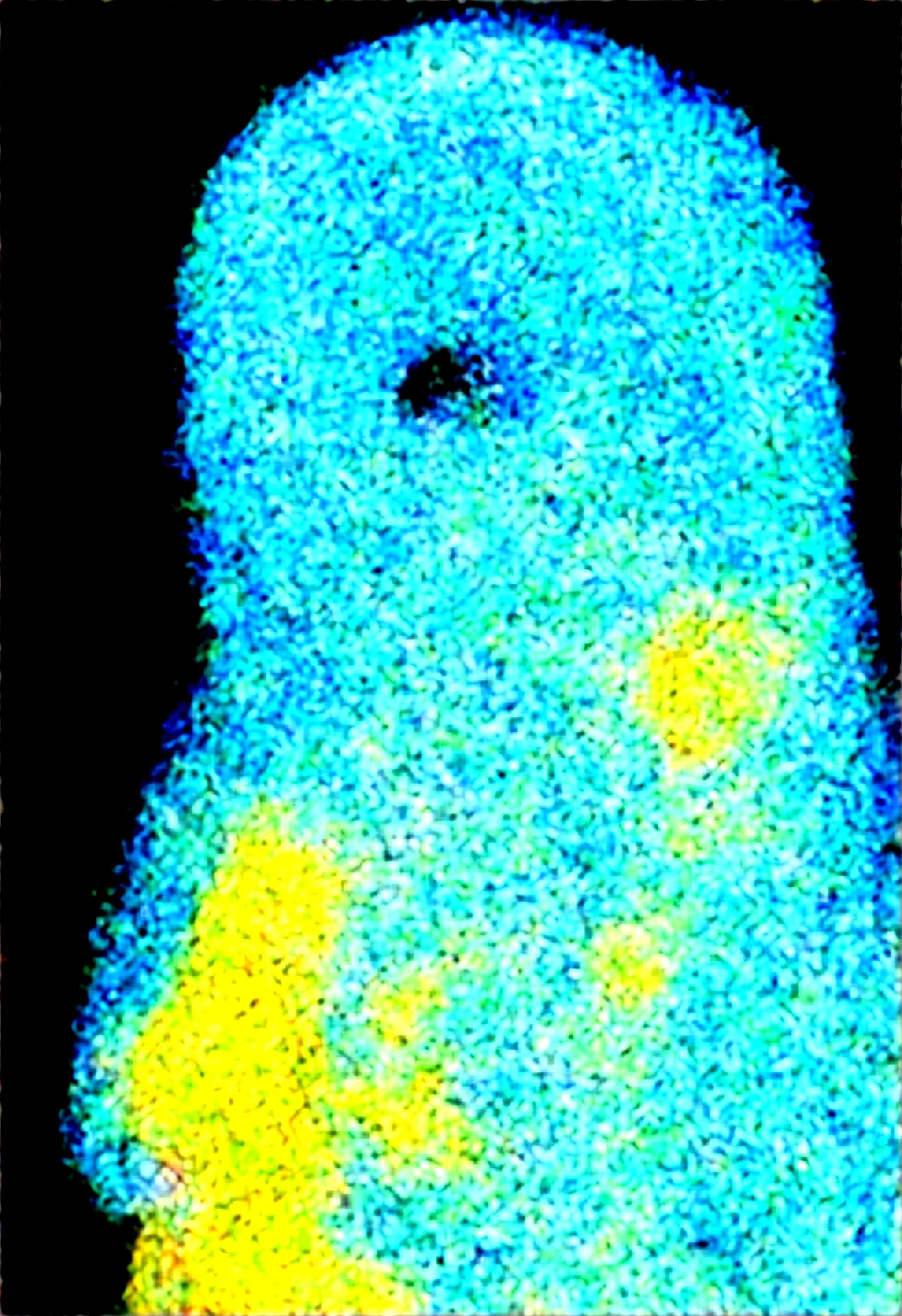 solo-mature_female-glitching-holographic-hologram-fully-260fe2 on WAI-SHUFFLE-NOOB