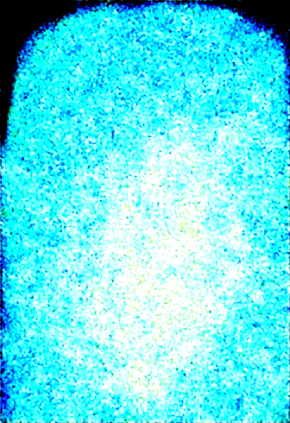 solo-mature_female-glitching-holographic-hologram-fully-58f8fb on Obsession (Illustrious-XL)