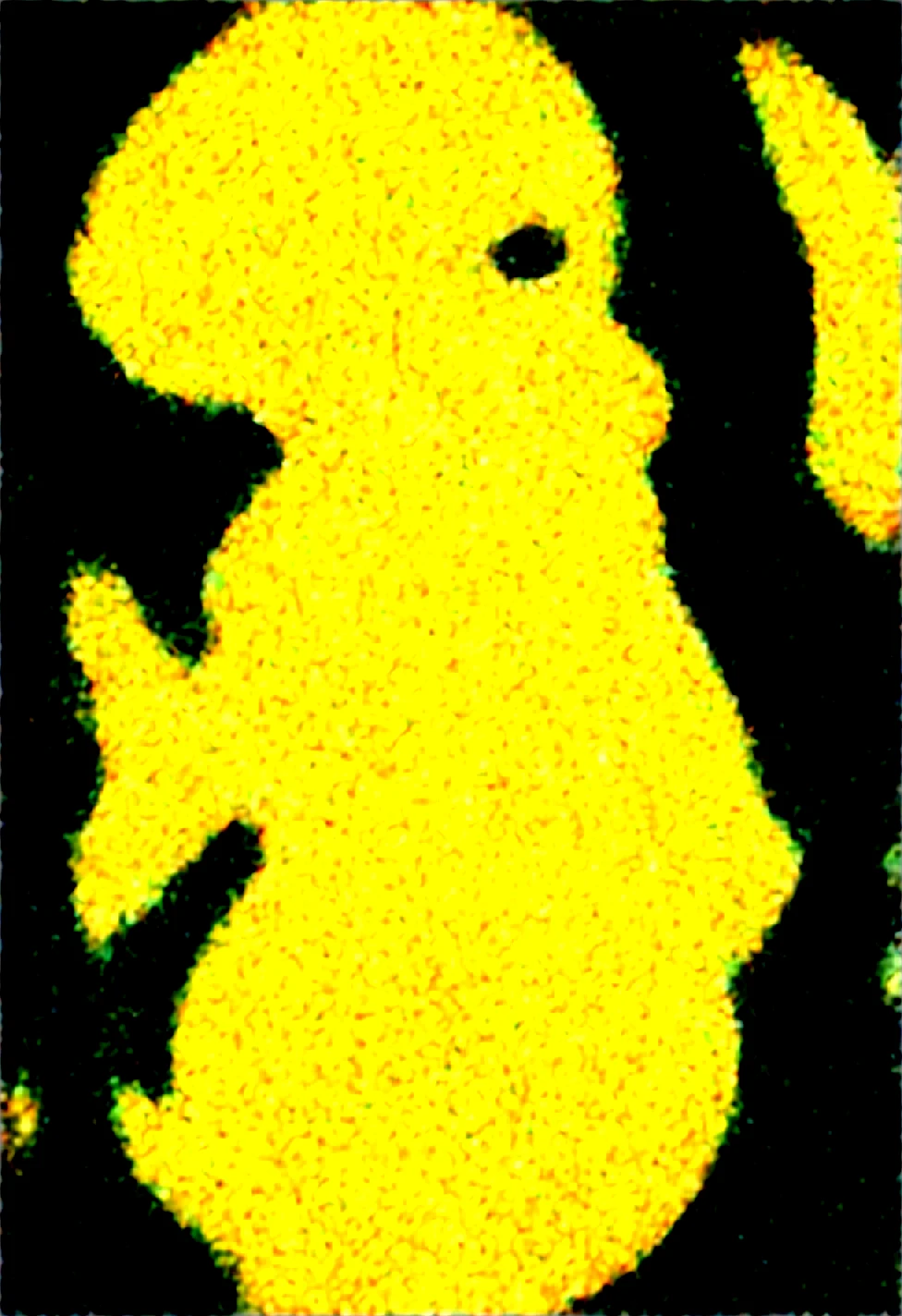 solo-mature_female-glowing-holographic-hologram-fully-728d5d on WAI-SHUFFLE-NOOB