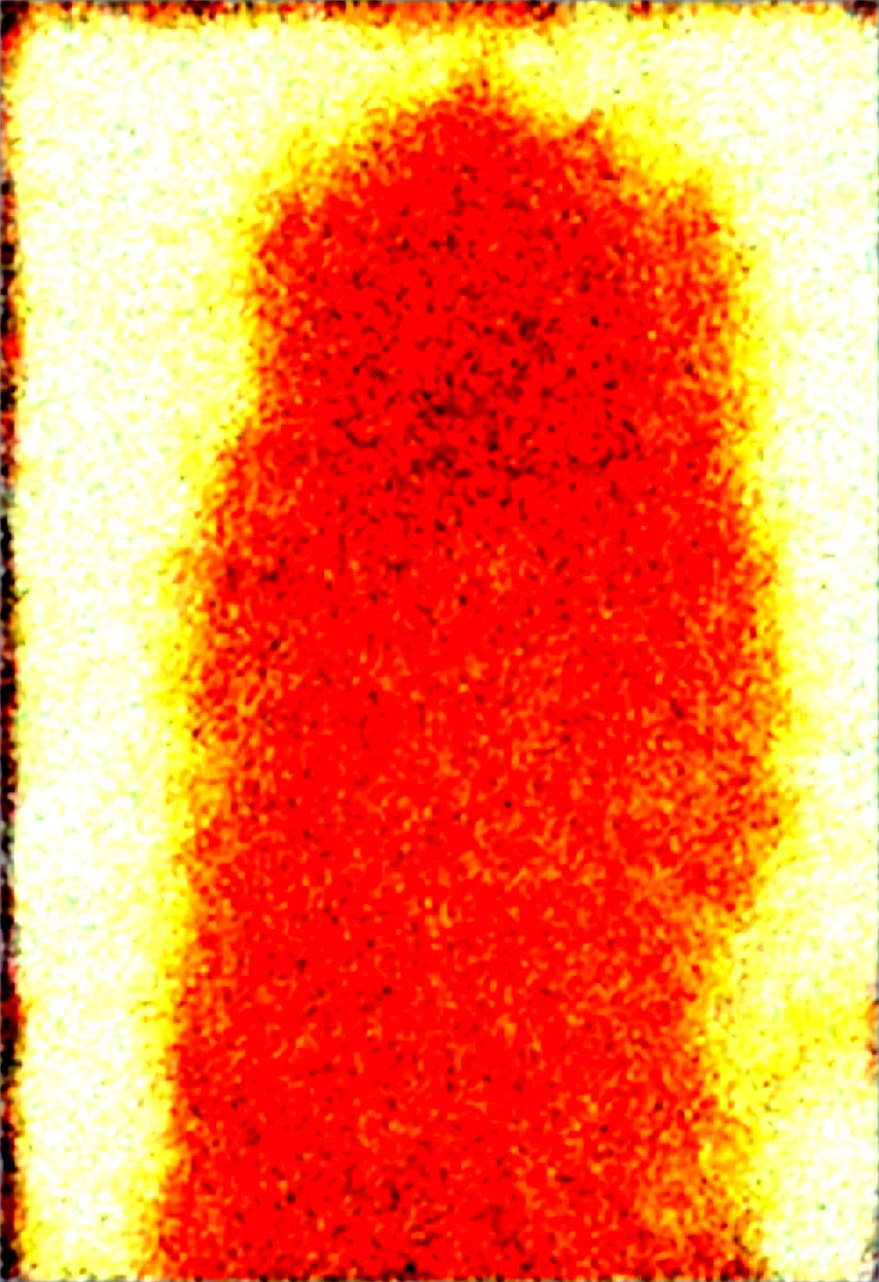 solo-mature_female-human-dark-skin-brown-24c87b on Obsession (Illustrious-XL)