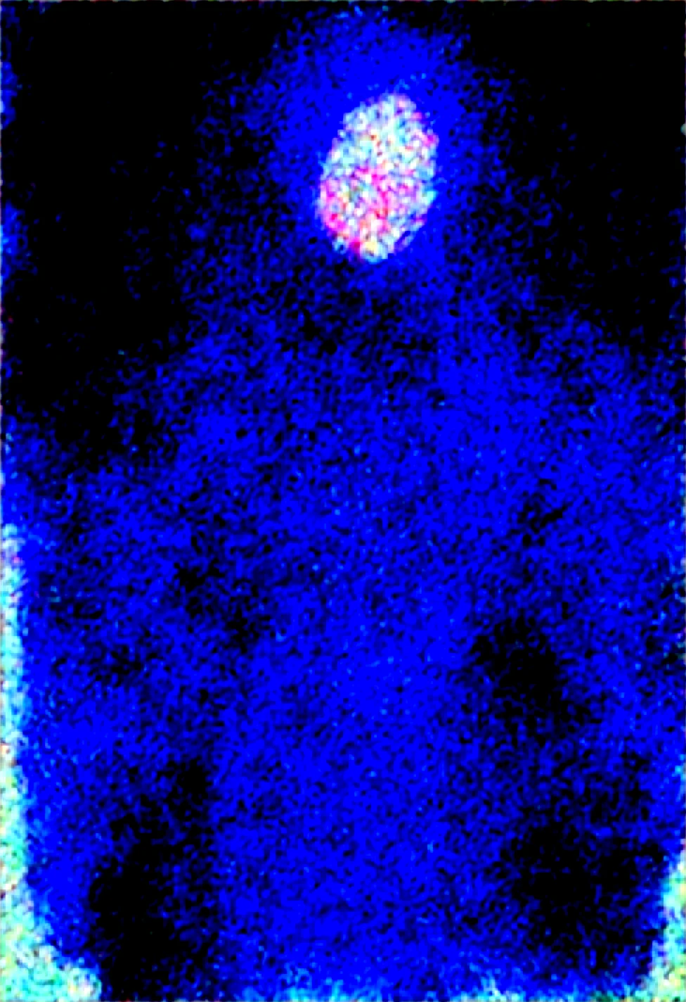 solo-mature_female-human-light-skin-slender-423100 on Obsession (Illustrious-XL)