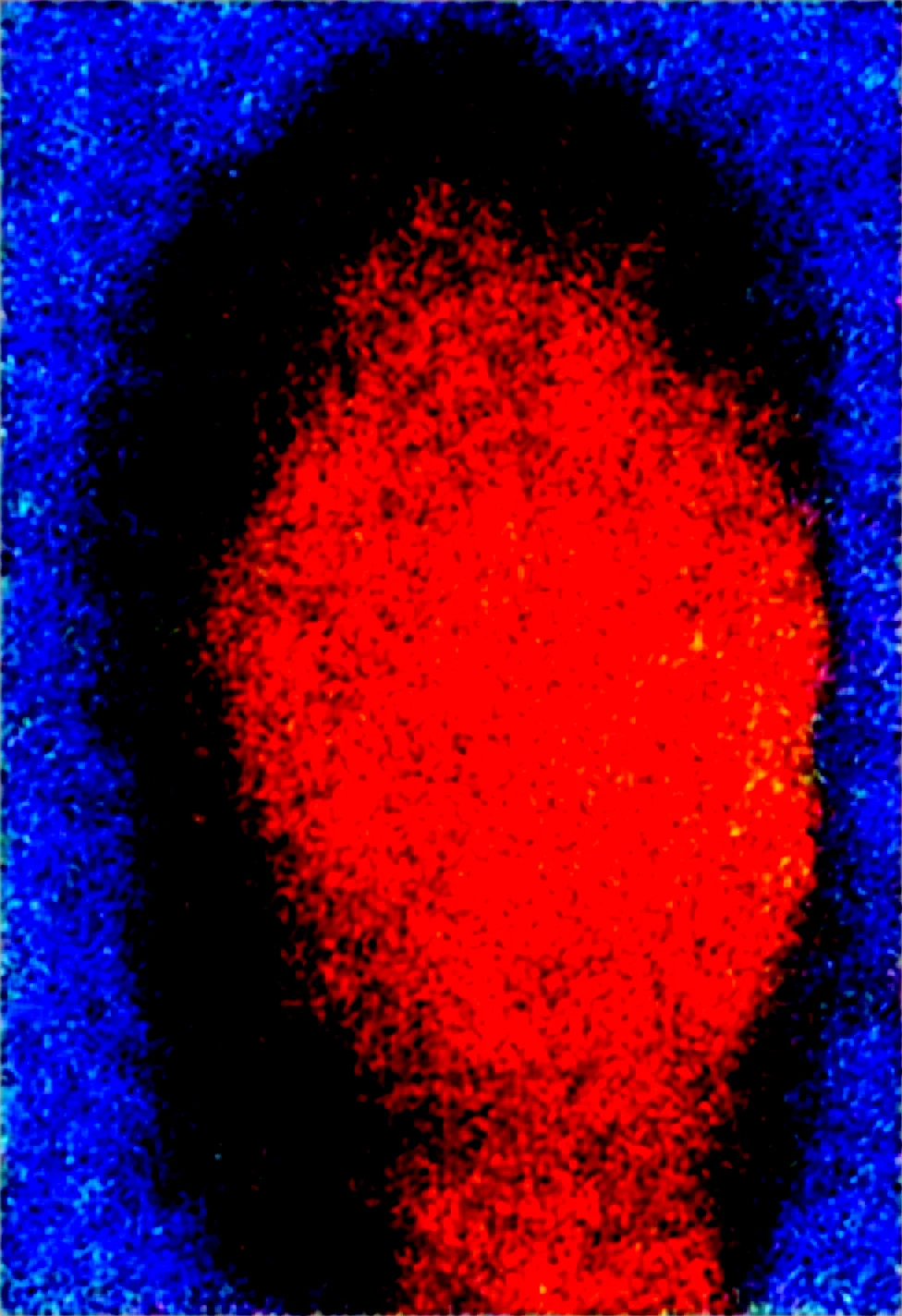 ultra-photo-realistic-realistic-detailed-face-d19779 on Obsession (Illustrious-XL)