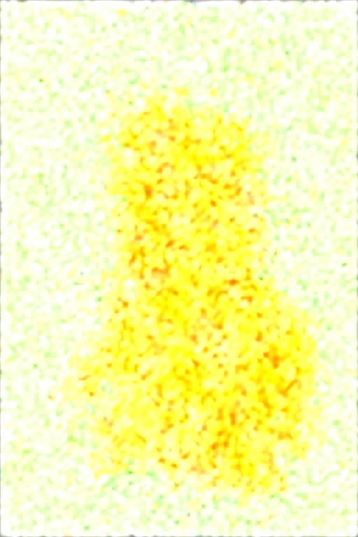 ultra-realistic-portrait-photo-beautiful-year-972832 on Obsession (Illustrious-XL)