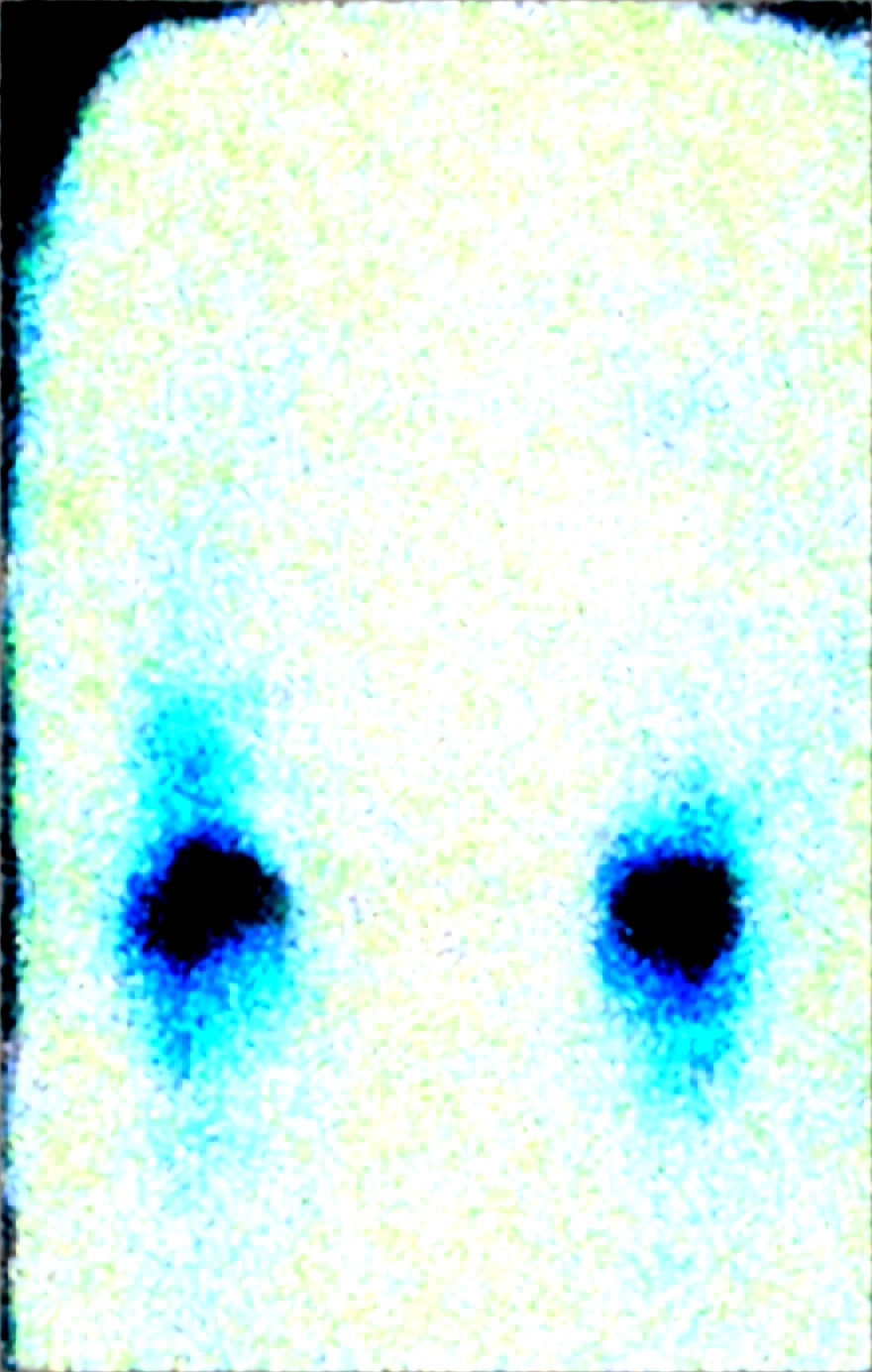 upper-body-portrait-girl-solo-focus-b46d50 on WAI-SHUFFLE-NOOB