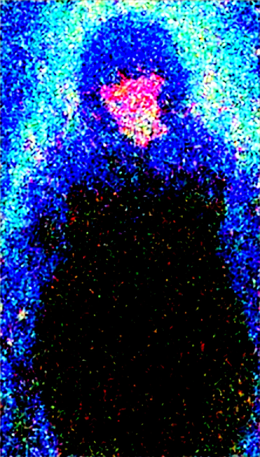 lapis-lazuli-1girl-bare-tree-black-557faa on Obsession (Illustrious-XL)
