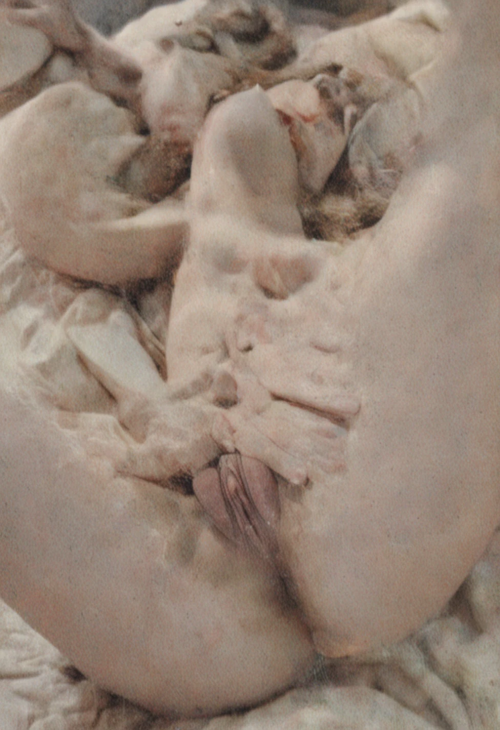 masterpiece-ultra-cinematic-lighting-photorealistic-impressionism-e99625 on The Araminta Experiment (SDXL+Flux)