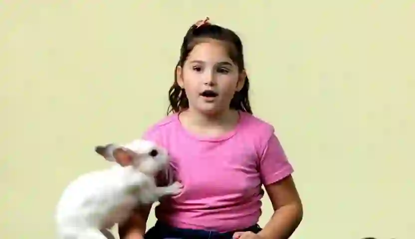 A girl sitting. Suddenly, a bunny hits her breasts from on Wan 2.2 T2V A14B
